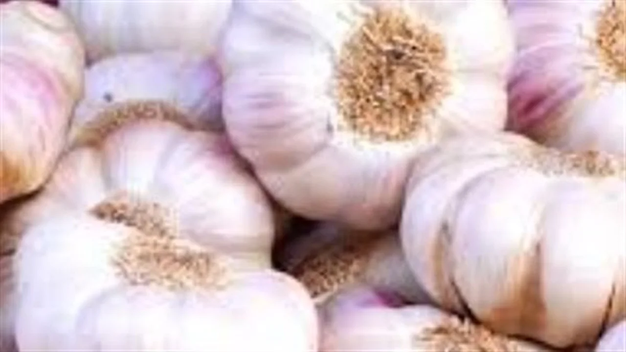 تقوية المناعة الطبيعية.. كيف تعزز أحماض أوميغا 3 كفاءة خلايا جسمك الدفاعية؟